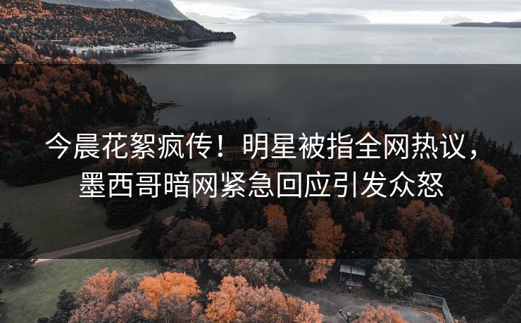今晨花絮疯传！明星被指全网热议，墨西哥暗网紧急回应引发众怒