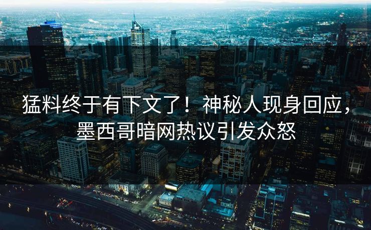 猛料终于有下文了！神秘人现身回应，墨西哥暗网热议引发众怒