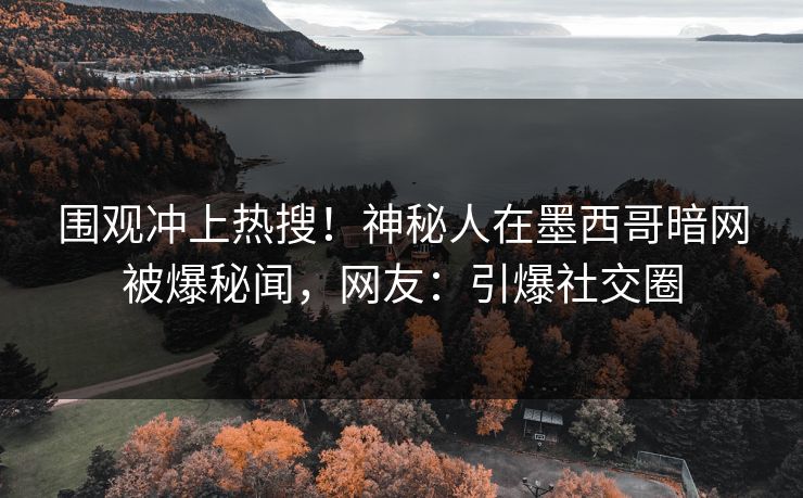 围观冲上热搜！神秘人在墨西哥暗网被爆秘闻，网友：引爆社交圈