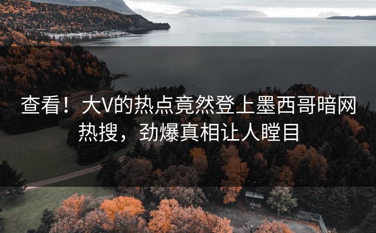 查看！大V的热点竟然登上墨西哥暗网热搜，劲爆真相让人瞠目