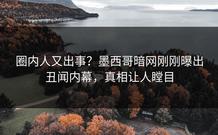 圈内人又出事？墨西哥暗网刚刚曝出丑闻内幕，真相让人瞠目
