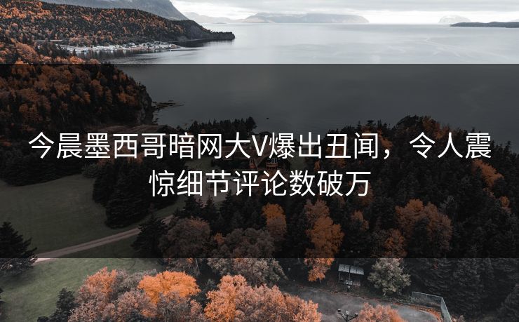 今晨墨西哥暗网大V爆出丑闻，令人震惊细节评论数破万