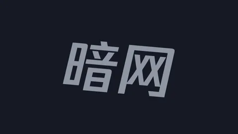 暗网研究：禁区技术入口