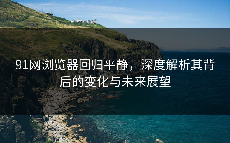 91网浏览器回归平静，深度解析其背后的变化与未来展望